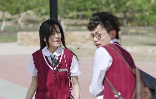 国产爱情电视剧,国产爱情剧的浪漫之旅